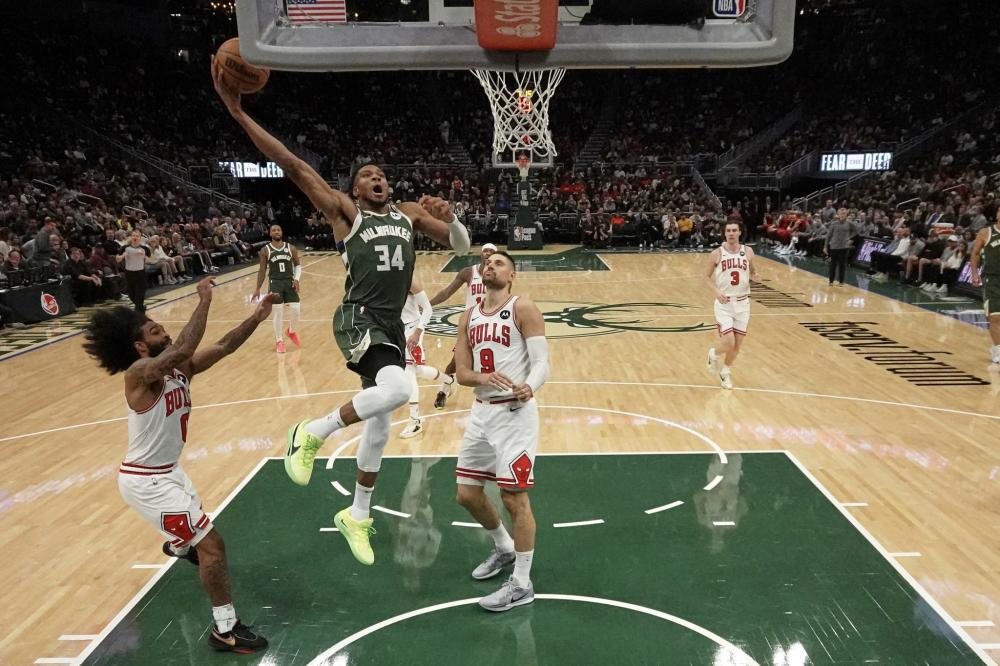 季的一场焦 季的一场焦